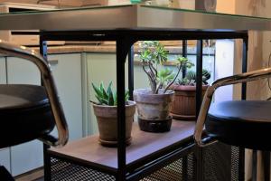 都灵Casa Spezia - Metro Vicina, Wi-Fi Rapido & Netflix的一张桌子,上面有三株盆栽植物,放在架子上