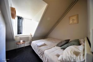 马斯特里赫特city Apartment "Op de Thermen"的一间卧室设有一张床和一个窗口
