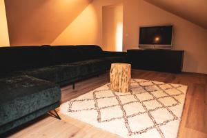 奥德纳尔德Sint-Jacobshoeve 3的客厅配有黑色沙发和电视