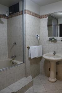阿亚库乔THIZMA HOTELES Ex HotelSantaMaria的带浴缸、水槽和淋浴的浴室