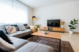 杜伊斯堡Golden Design Zentral Office Kitchen Garage的带沙发和电视的客厅