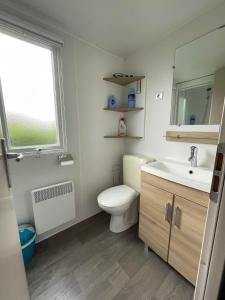 拉特斯Mobil-home Clim, Tv, Lv - Camping Lac des Rêves 4 étoiles - 010的一间带卫生间、水槽和窗户的浴室