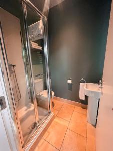 凯尔西温The Blue Door Apartment的带淋浴、卫生间和盥洗盆的浴室