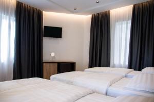 斯库台布里尼酒店的酒店客房设有三张床和电视。