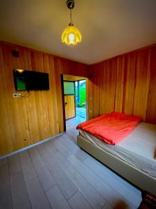 特拉布宗ACISU CAFE KONAKLAMA的一间卧室配有一张床和一台平面电视
