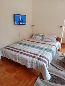 弗尔尼亚奇卡矿泉镇Nidza Vranjanac的墙上配有电视的房间里一张床位