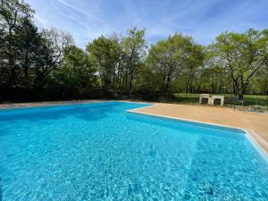 SeptfondsLodges du Bois Dodo - ancien Camping de Bois Redon的院子里的大型蓝色游泳池