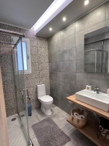 罗德镇Rodini Inn的浴室配有卫生间、盥洗盆和淋浴。
