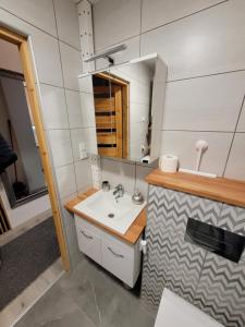 扎布热Apartament Ślęczka的一间带水槽和镜子的浴室