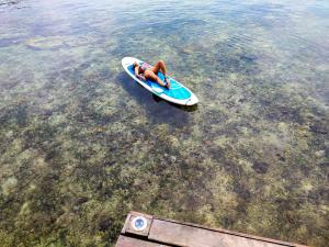 博卡斯德尔托罗Bahia Coral Lodge的躺在水中桨板上的人