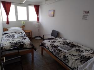 亚伊采TRIO sobe的一间卧室设有两张床、一张桌子和窗户。