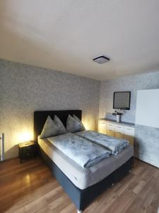 恩斯河谷艾根Apartment Renata Irdning Pichlarn的卧室配有一张床,墙上配有电视。