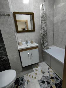 奇姆肯特2 комнатная Нурсат ЖК Алтын Шанырак的一间带水槽、卫生间和镜子的浴室