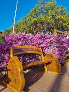 加利纽斯Pousada Rio Aratuá的紫色鲜花前的木凳