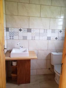 乌鲁比西Cabana Azinheira的一间带水槽和卫生间的浴室