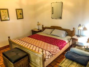 米纳斯Casa de campo - retiro con encanto en las sierras的卧室配有一张壁挂镜子的床