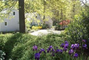 索米尔Les Chalets de SAUMUR, Piscine & Parc boisé, 100m du CadreNoir的一座花园,在房子前面种有紫色的花朵