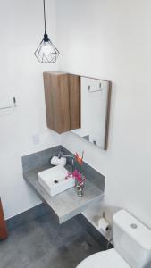戈亚斯州上帕莱索Villa da Serra的一间带水槽和卫生间的浴室