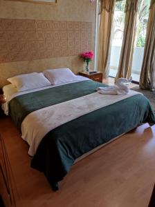 昆卡Hotel G&G的一间卧室配有一张带绿毯的大床