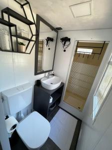 耶泽拉DM mobile home的一间带卫生间和水槽的小浴室