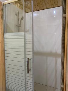 苏呼米lodge KORKMAZ的浴室里设有玻璃门淋浴