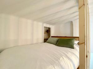 尼斯COSY COCOON - 2 to 4 travelers.的卧室配有带绿色枕头的白色床