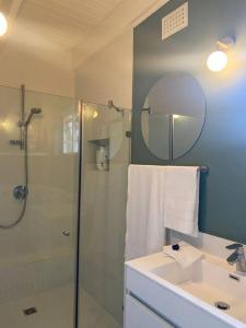 开普敦Gorgeous, private cottage in prestigious Newlands.的带淋浴、盥洗盆和镜子的浴室