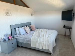 PtykhniImmanuel Villa的一间卧室配有一张带白色床单的床和一台电视。