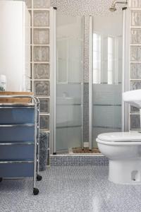 雷阿尔城Unifamiliar Europa的一间带卫生间和玻璃淋浴间的浴室