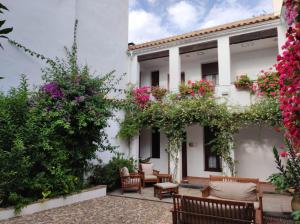科尔多瓦ALHAJAS DE CORDOBA的鲜花房子的庭院