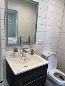 奥克兰3 bedroom apartment in Newmarket的一间带水槽和卫生间的浴室