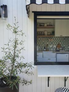 下哈特Tiny house with greenhouse dining的厨房配有柜台和台面