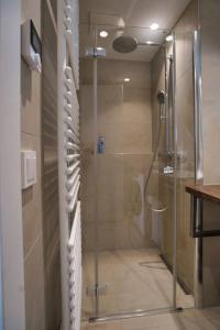 维也纳Modern apartment near Stadtpark的浴室里设有玻璃门淋浴