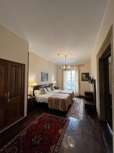 比利亚维西奥萨Hotel Palacio Carlos I的一间大卧室,配有床和地毯