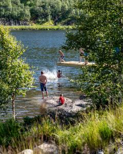 TjørhomSirdal fjellpark的在湖中游泳的一群人