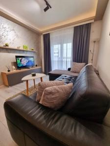 弗拉涅Apartman Rojal Vranje的客厅配有真皮沙发和电视