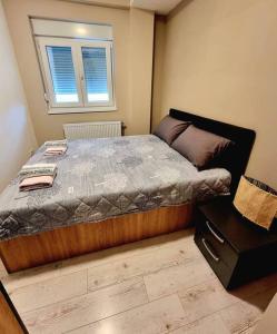 弗拉涅Apartman Rojal Vranje的一间卧室设有一张大床和窗户