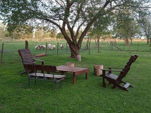 圣安德烈斯德希莱斯Casa De Campo La Huella的两个长椅和一张野餐桌,在田野上放羊