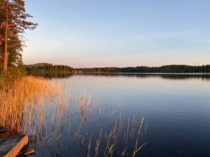 Cabin 70m from lake. Big garden平面图