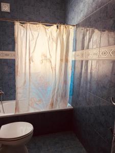卡尔达斯达·赖尼亚Mãe Home Story的一间带卫生间和淋浴帘的浴室