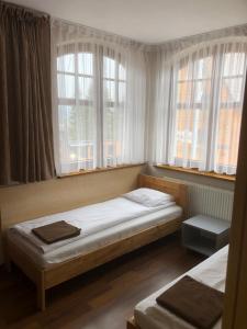 杜什尼基-兹德鲁伊Śnieżka的一间卧室设有两张床和两个窗户。