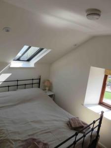 克雷迪顿Creedy Meadow Barn的一间卧室配有一张带天窗的床