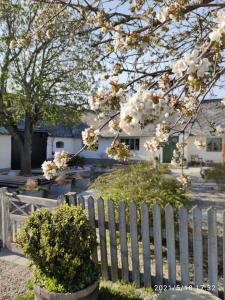 斯塔德Öja的白色的围栏,有花树和白色的房子