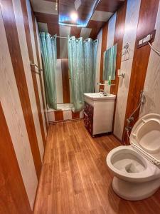 斯利那加Heritage Shreen Houseboat的一间带卫生间和水槽的浴室