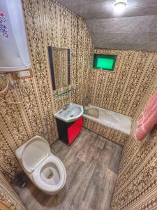 斯利那加Heritage Shreen Houseboat的一间带卫生间和水槽的小浴室