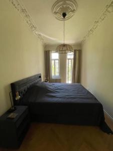 莱比锡Ruhige&charmante Altbauwohnung的一间卧室配有一张大床和蓝色的床罩