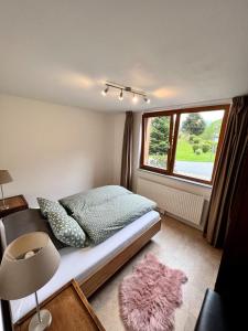 安特特泽Walensee Apartment, Lakeside Dream的一间卧室配有一张带窗户和地毯的床