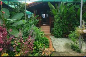 卡塔海滩Thai authentic wooden house at Kata的种植了多种不同植物的花园