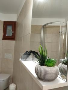阿尔梅诺Casa Elisa affittacamere的架子上两盆植物的浴室
