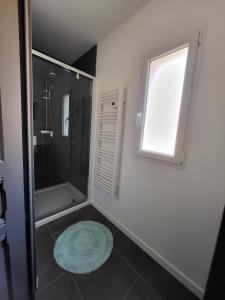 勒芒Maison de ville的带淋浴的浴室和蓝色地毯。